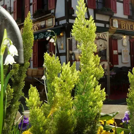 Bit-eck בית הארחה